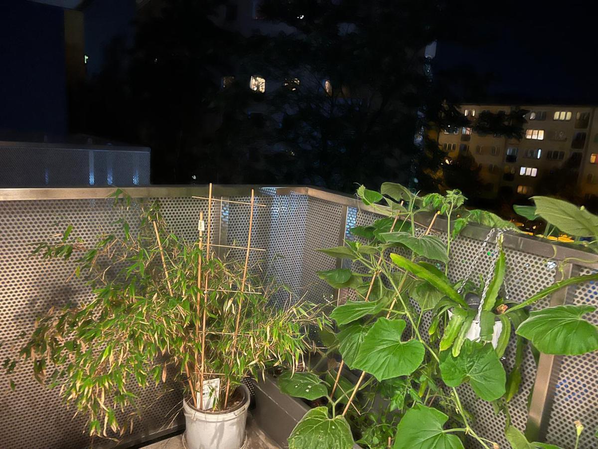 Apartment In Odra House ヴロツワフ エクステリア 写真